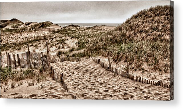 Dunes Acrylic Print featuring the photograph Cape Cod Dunes by Fred LeBlanc