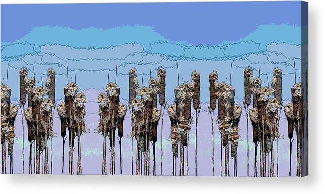 Cattails Acrylic Print featuring the digital art Cattail Blues by Tim Allen