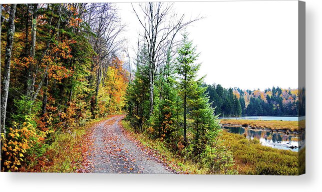 Landscapes Acrylic Print featuring the photograph Cary Lake Panorama #1 by David Patterson