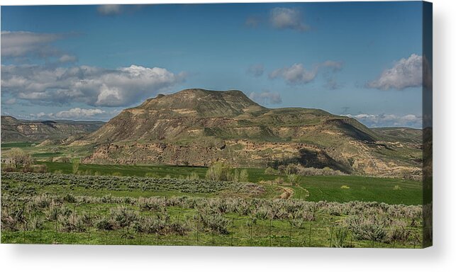 Oregon Acrylic Print featuring the photograph 10884 Approaching Owyhee by Pamela Williams
