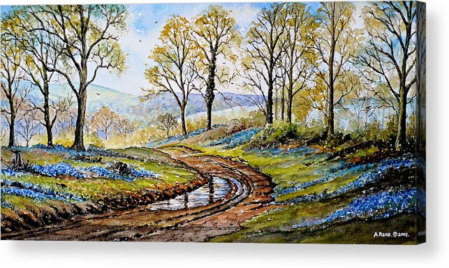 Bluebells In The New Forest Acrylic Print featuring the painting Bluebells in the New Forest #4 by Andrew Read