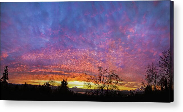 Sunrise Acrylic Print featuring the photograph A Winter Sunrise by Angie Vogel