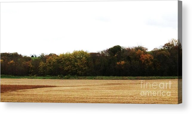 Fall Acrylic Print featuring the photograph Autumn's Blanket by J L Zarek