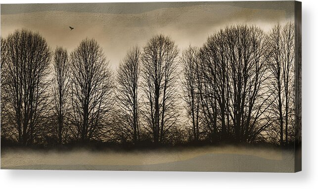 Trees Acrylic Print featuring the photograph Bare Bones by Robin-Lee Vieira