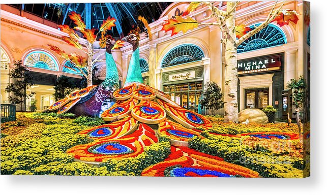Bellagio Conservatory Acrylic Print featuring the photograph Bellagio Conservatory Fall Peacock Display Side View Wide 2 to 1 Ratio by Aloha Art