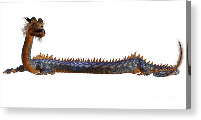 Dragon Acrylic Print featuring the painting Blue Gold Dragon by Corey Ford