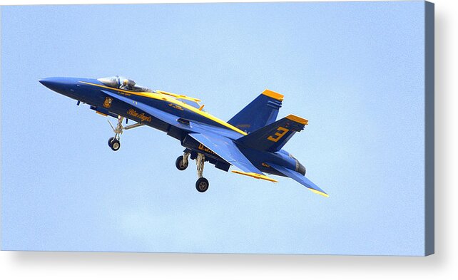 Blue Angel Acrylic Print featuring the photograph Blues by Jerry Cahill