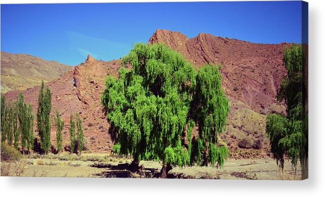 Bolivian Landscape Acrylic Print featuring the photograph Bolivian landscape by Sandy Taylor