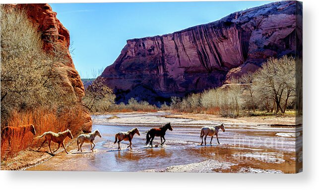 Free Range Acrylic Print featuring the photograph Canyon de Chelly National Monument by Thomas R Fletcher