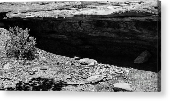 Digital Black And White Acrylic Print featuring the photograph Canyonlands Shade BW by Tim Richards