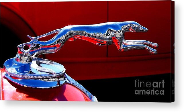 Hood Ornament Acrylic Print featuring the photograph Classic Ford Greyhound Hood Ornament by Pat Davidson