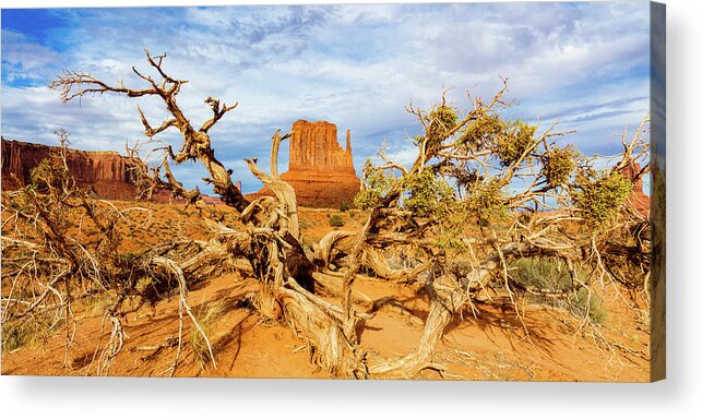 Monument Valley Acrylic Print featuring the photograph Desert Life III by Raul Rodriguez