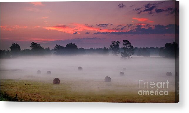 Historic Acrylic Print featuring the photograph Early Morning Sunrise on the Natchez Trace Parkway in Mississippi by T Lowry Wilson