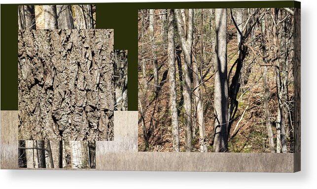 Early Spring Acrylic Print featuring the photograph Early Spring Walk - by Julie Weber