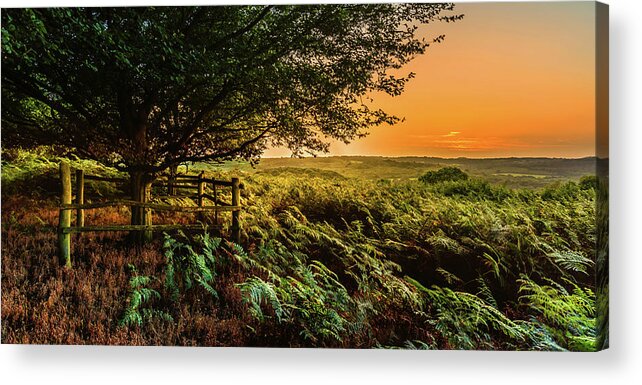 Sunset Acrylic Print featuring the photograph Evening Glow by Nick Bywater