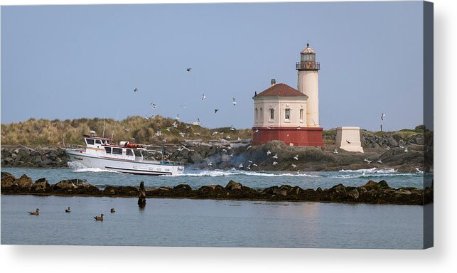 Coquille River Lighthouse Acrylic Print featuring the photograph Flock of Seagulls at Coquille River Lighthouse by Catherine Avilez