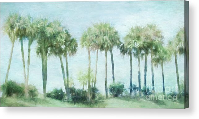 Palm Trees Acrylic Print featuring the digital art Florida Palms II by Jayne Carney