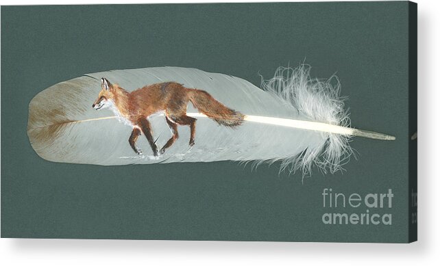 Fox Acrylic Print featuring the painting Fox Feather by Brandy Woods
