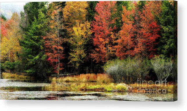 Fall Acrylic Print featuring the photograph Handley Wildlife Managment Area by Thomas R Fletcher
