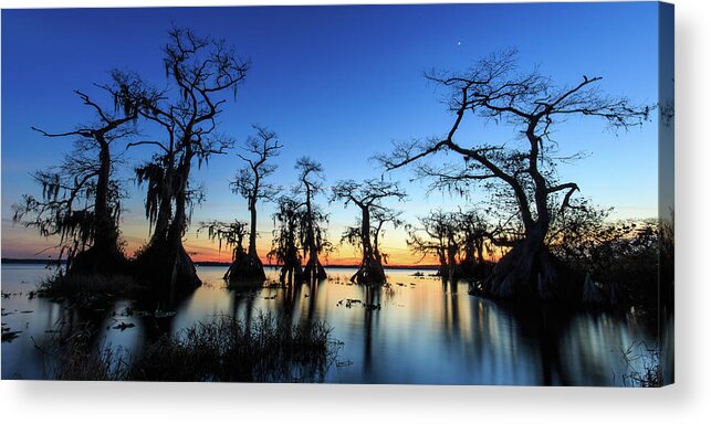 Florida Acrylic Print featuring the photograph Lake Disston Twilight by Stefan Mazzola