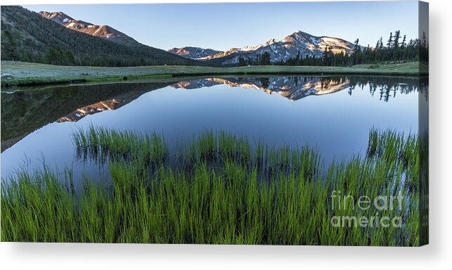Grass Acrylic Print featuring the photograph Meadow Reflections by Brandon Bonafede