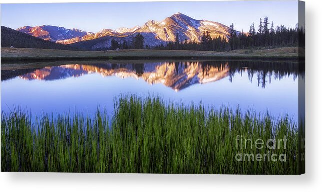 Sierra Acrylic Print featuring the photograph Meadow Sunrise by Anthony Michael Bonafede