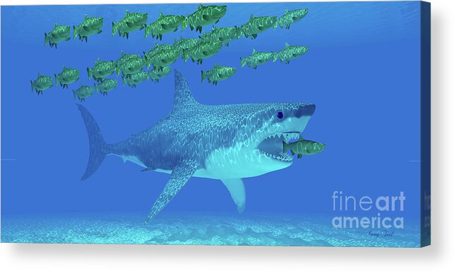 Megalodon Shark Acrylic Print featuring the digital art Megalodon Undersea by Corey Ford