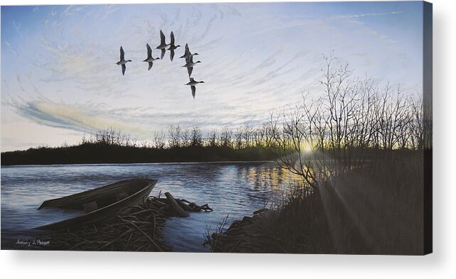 Pintails Acrylic Print featuring the painting Morning Retreat - Pintails by Anthony J Padgett