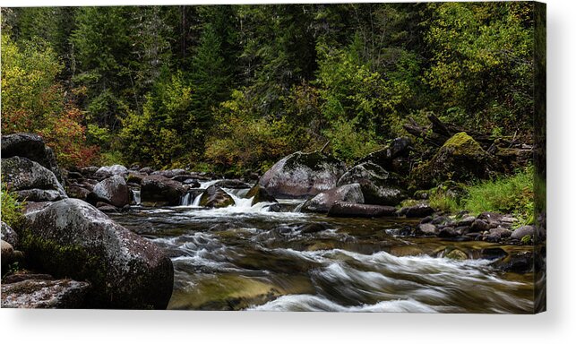 Nature Acrylic Print featuring the photograph Oregon Art by Gary Migues