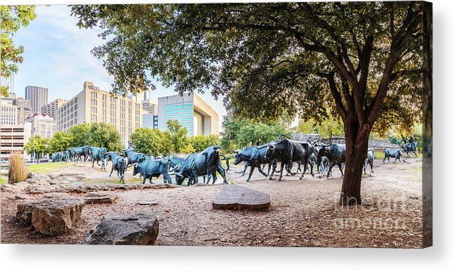 Downtown Acrylic Print featuring the photograph Panorama of Cattle Drive at Pioneer Plaza in Downtown Dallas - North Texas by Silvio Ligutti