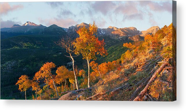 Rocky Mountain National Park Acrylic Print featuring the photograph Rocky Mountain National Park Autumn by Aaron Spong