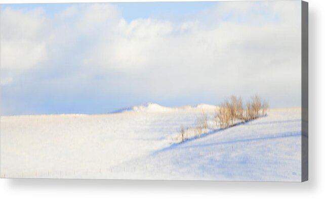 Minimalism Acrylic Print featuring the photograph Simply Snow Landscape by Theresa Tahara
