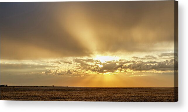 Kansas Acrylic Print featuring the photograph Sunrise and Wheat 04 by Rob Graham