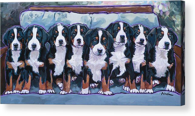 Greater Swiss Mountain Dog Acrylic Print featuring the painting Swissie Pups by Nadi Spencer