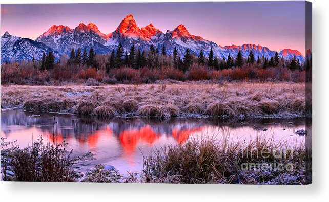 Grand Teton National Park Acrylic Print featuring the photograph Teton Reflections In The Frosted Willows by Adam Jewell