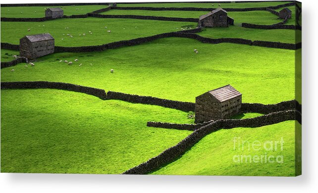 2016 Acrylic Print featuring the photograph The Barns at Gunnerside in Swaledale by Richard Burdon