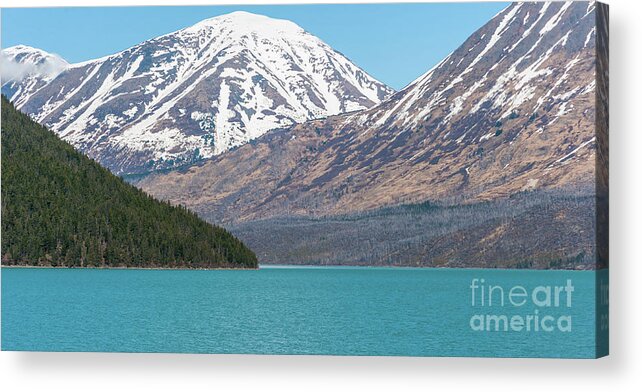Photography Acrylic Print featuring the photograph The Blue Blue by Charles McCleanon