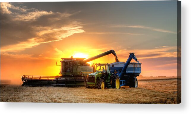 Landscape Acrylic Print featuring the photograph The Harvest by Thomas Zimmerman
