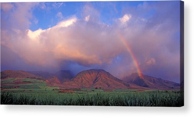 Rural Scene Acrylic Print featuring the photograph West Maui Rainbow by David Olsen