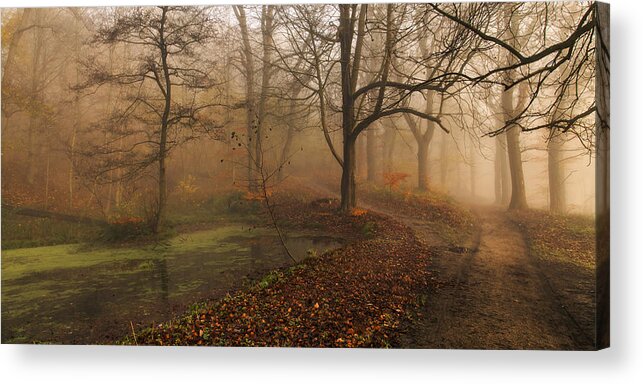 Landscape Acrylic Print featuring the photograph Which Path II by Leif L?ndal