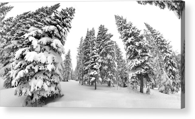 Black And White Acrylic Print featuring the photograph White Warped Winter by David Andersen