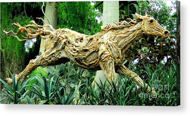 Wooden Horse Acrylic Print featuring the photograph Wooden Horse by Randall Weidner