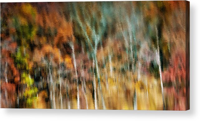 Abstract Acrylic Print featuring the photograph Woodland Abstract by James Barber