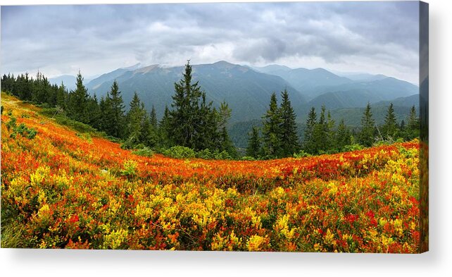 Landscape Acrylic Print featuring the photograph Amazing Panorama With Orange Blueberry by Ivan Kmit