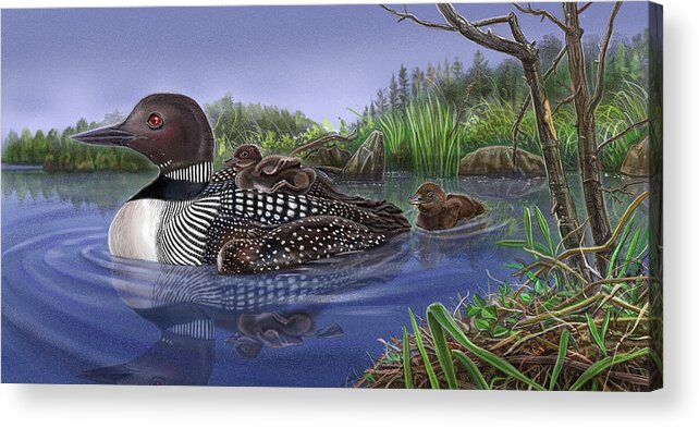 Baby On Board Spread 14 Loons Acrylic Print featuring the painting Baby On Board Spread 14 Loons by Cathy Morrison Illustrates