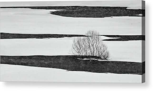 Landscape Acrylic Print featuring the photograph Black On White by Jure Kravanja