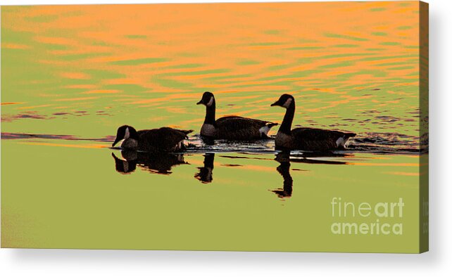 Photography Acrylic Print featuring the photograph Canadian Reflections by Sharon Mayhak