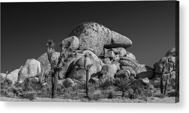 Blue Sky Acrylic Print featuring the photograph Cap Rock Persepctive 2 by Peter Tellone