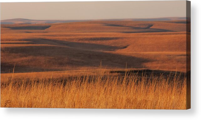 Greenwood County Acrylic Print featuring the photograph Fall Colors Flint Hills Prairie I by Jeff Phillippi