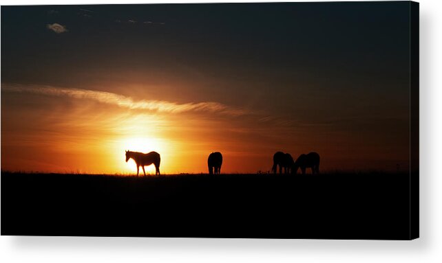 Horses Acrylic Print featuring the photograph Horses at Sunset by Gary Langley